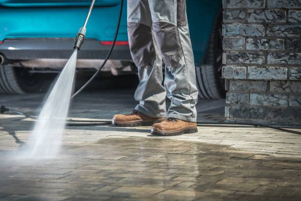 Best Fleet Vehicle Washing  in La Blanca, TX