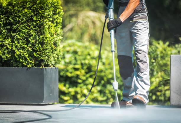 Best Restaurant Pressure Washing  in La Blanca, TX