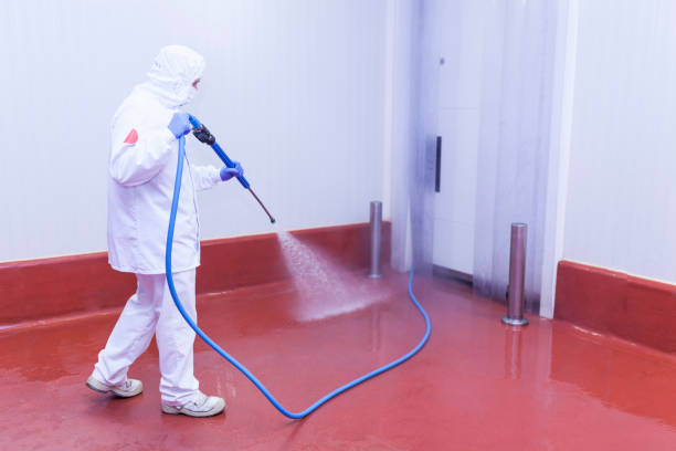Best Dumpster Area Cleaning  in La Blanca, TX