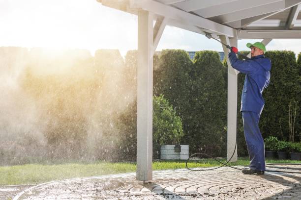 Best Building Exterior Washing  in La Blanca, TX