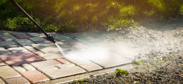 Best Driveway Pressure Washing  in La Blanca, TX