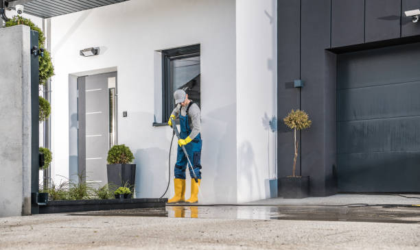 Pre-Holiday Cleaning in La Blanca, TX